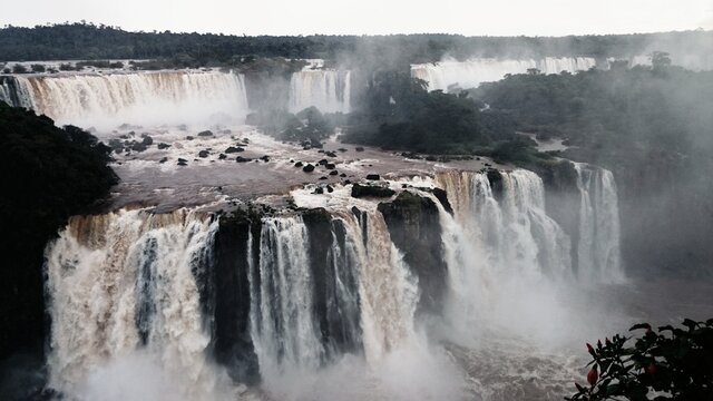 Iguazu Falls quati food thief