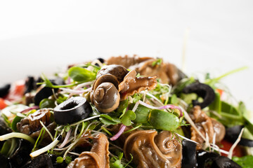 Close-up green salad with snails on white background. French gourmet cuisine