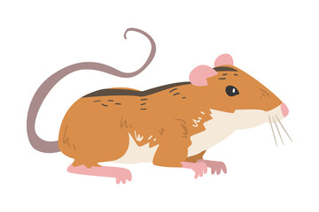 Field Mouse as Small Rodent with Long Tail and Dorsal Black Stripe Vector Illustration