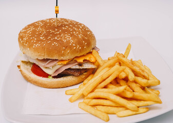 Hamburguesa con queso, jamón, lechuga y tomate, acompañada de papas fritas.(femenino)
