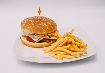 Hamburguesa con queso, jamón, lechuga y tomate, acompañada de papas fritas.(femenino)
