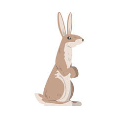 Standing on Hind Legs Hare or Jackrabbit as Swift Animal with Long Ears and Grayish Brown Coat Vector Illustration