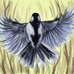 avian wingspan