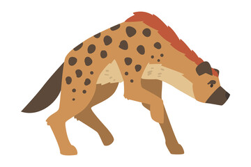 Fototapeta premium Hyena as Carnivore Mammal with Spotted Coat and Rounded Ears Walking Vector Illustration
