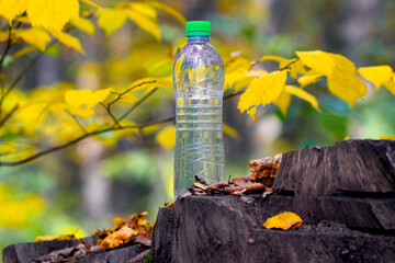 Fototapeta premium Bottle of clean drinking water in the autumn forest on a stump