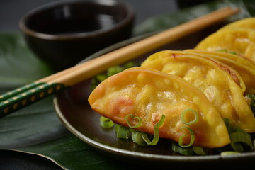 Japanese dumplings Gyoza with chicken and vegetables, soy sauce and green onions