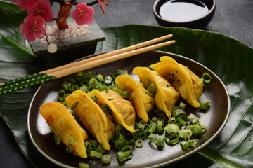 Japanese dumplings Gyoza with chicken and vegetables, soy sauce and green onions