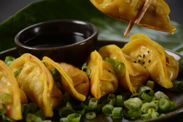 Japanese dumplings Gyoza with chicken and vegetables, soy sauce and green onions