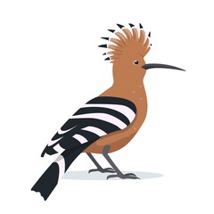 Hoopoe bird icon for nature design isolated on white © Елена Истомина