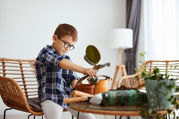 Cute small boy planting house flowers at home.