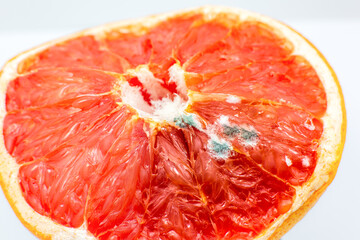 Moldy orange fruit. Rotten grapefruit. Bad conditions of preservation. Close up, Spoiled  food. Fungus illness.