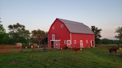 Obraz premium Farm Life