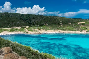 Cercles muraux Plage de La Pelosa, Sardaigne, Italie Belle eau turquoise d& 39 une baie de l& 39 île d& 39 Asinara, Sardaigne