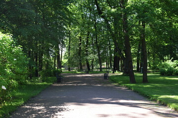 alley in the park