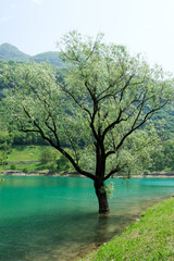 Lago di Tenno in the italian alps, Trentino, Italy, Europe