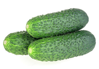 Three fresh cucumbers isolated on a white background. Green cucumbers.