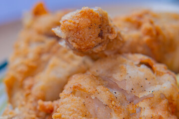 Close-up of food is easily blurred in soft focus. A plate of fries and fried chicken.