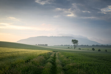 landscape with fog
