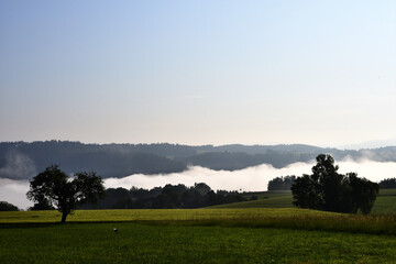 Österreichisches Tal im Nebel am Morgen