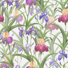 Beautiful iris flowers and leaves on white background. Seamless floral pattern. Watercolor painting. Hand drawn illustration. - 438689409