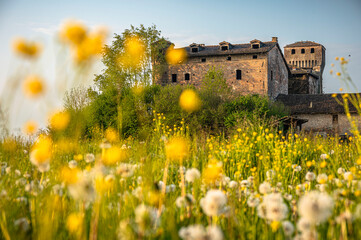Castle in the spring