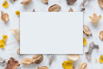 Blank paper sheet card with mockup copy space with parts of dry plants on white background. Minimal template. Flat lay, top view