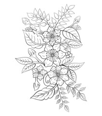 Flower line art for coloring book page. Floral coloring book page for adults and children. Black and white hand-drawn line art vector good for amazon coloring book design. 