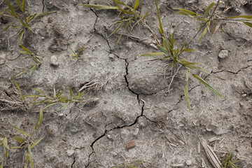 Trockenheit