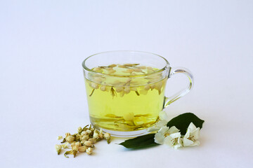 glass cup with herbal hot jasmine tea with bloom flowers of jasmine isolated on white background. healthy drink in mug with dried leaves on the table. copy space.