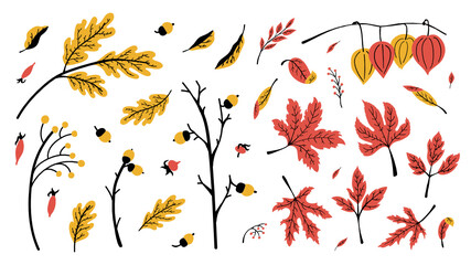 Set of autumn leaves, oak and maple, branches and acorns, rose hips, physalis in yellow, red and black colors. Hand-drawn illustrations in flat style. For autumn decorations. Isolated on white. © walrus_d