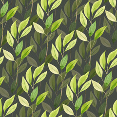 Seamless botanical background with green branches and leaves of eucalyptus, illustration of watercolor hand painted on a dark background