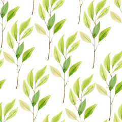 Seamless botanical background with green branches and leaves, illustration watercolor hand painted on white background