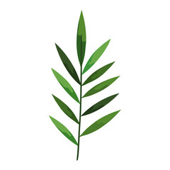 Isolated tropical leaf