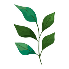 spring leaf icon
