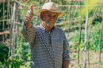 farmer in the field or orchard with okay or approval signal