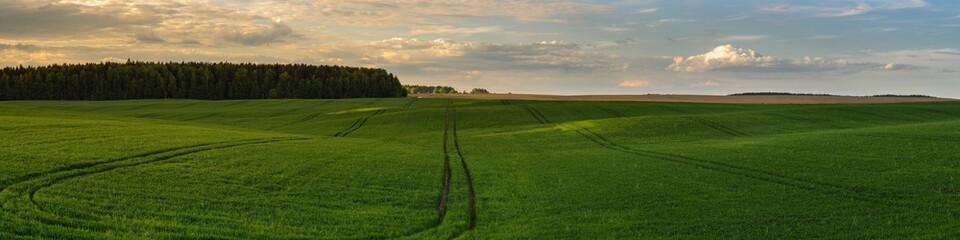wide panoramic view of a beautiful hilly green grass field with a tramline under a cloudy sky at sunset light. spring or summer agricultural landscape