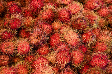 Fresh rambutan with bright red color and spines at the local farmers market