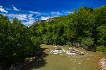 A mountain river runs through a green forest against a bright blue sky