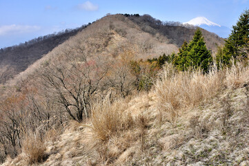 春の富士山眺望　丹沢の檜岳より
丹沢　檜岳より左が伊勢沢ノ頭、右が富士山