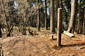 春の丹沢山地　檜岳山稜の伊勢沢ノ頭山頂
伊勢沢ノ頭の山頂は樹林に囲まれた狭い場所。