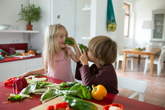 Family preparing a healthy meal in the kitchen at mediterranean home.
