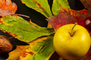 Autumn art composition - varied dried leaves, pumpkins, fruits, rowan berries on black background. Autumn, fall, halloween, thanksgiving day concept. Autumn still life.