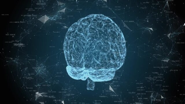 The movement of numbers and neural network around the human brain