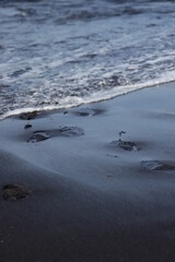 in the photo there are footprints traces of these feet on the fine black sand on the shores of the...