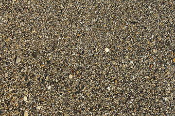 Pebbles gravel sand small stones texture. Summer beach natural background.