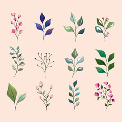 leaves and flowers icon collection