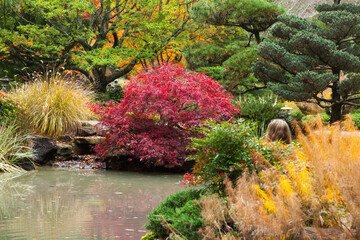Autumn Leaves Reflected in water
