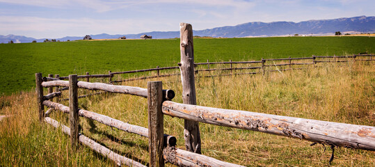 Old log fence in a field during our adventures on a ranch in Alta, Wyoming, on the west side of the...