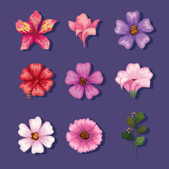 flowers icon collection