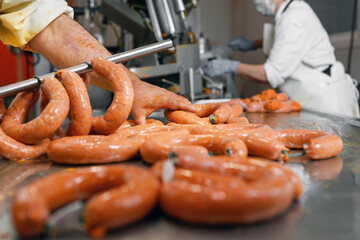 Sausages production at the meat processing factory. High quality photo.